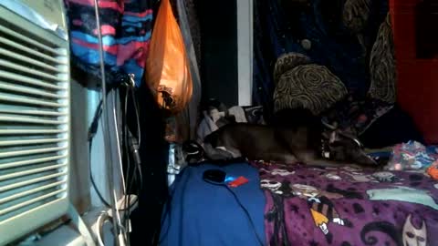 jaxxx666 online show from 25, 2, 2025