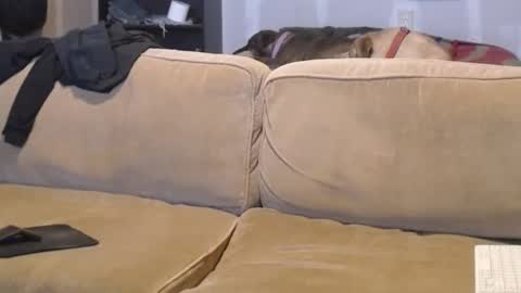 O F   jay short786 online show from 17, 2, 2025