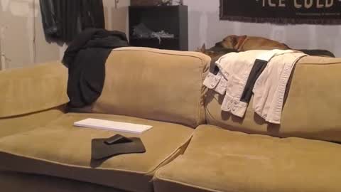 O F   jay short786 online show from 19, 2, 2025