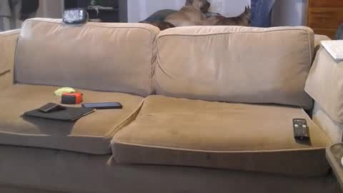 O F   jay short786 online show from 1, 3, 2025