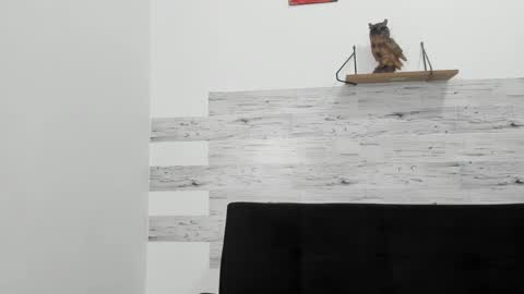 Jaycreedd online show from 6, 10, 2025