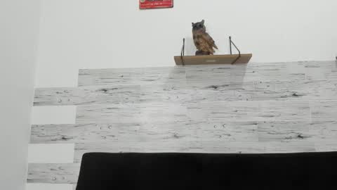 Jaycreedd online show from 5, 12, 2025