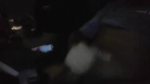 jaywulf22 online show from 17, 1, 2026