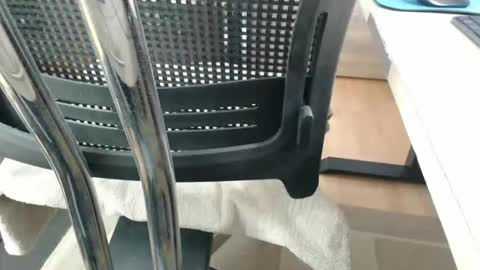 Snapshot of jc200000 chatting on 21, 4, 2026 jc200000 online show from 21, 4, 2026