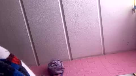 Snapshot of jdsj1a873165 chatting on 18, 3, 2026 jdsj1a873165 online show from 18, 3, 2026