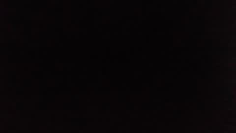 Jelly online show from 4, 1, 2025