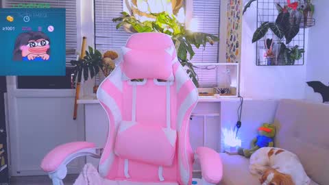 Jelya online show from 1, 2, 2025