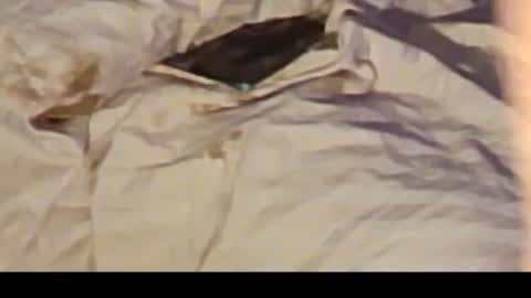 Jennie bttmcd online show from 14, 2, 2025