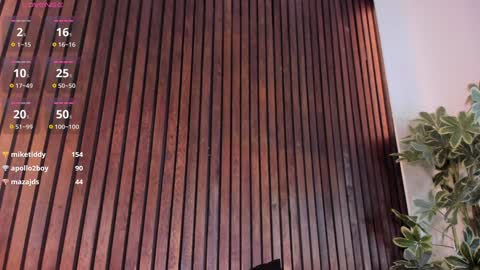     online show from 23, 1, 2025