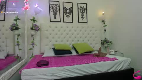 jenny_stark online show from 14, 11, 2025