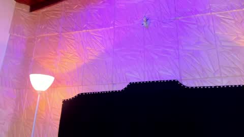  Jenny  online show from 26, 3, 2026