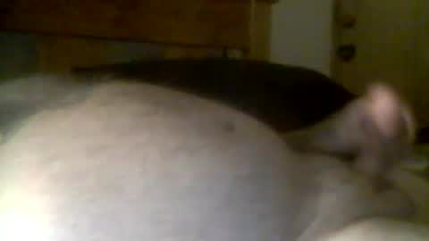 Snapshot of jerkmate6666 chatting on 21, 4, 2026 jerkmate6666 online show from 21, 4, 2026