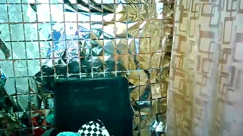 Ale online show from 16, 2, 2025