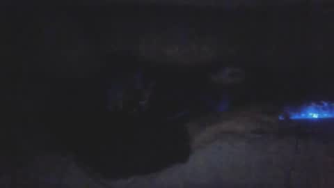 Snapshot of jetjon762844 chatting on 9, 2, 2026 jetjon762844 online show from 9, 2, 2026