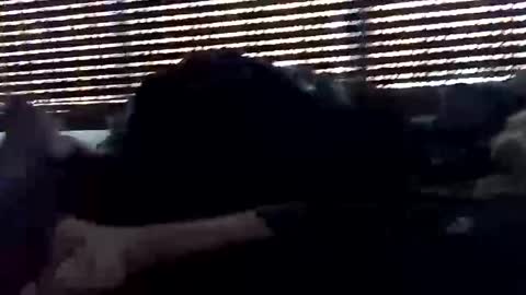 jf19861119 online show from 5, 10, 2025