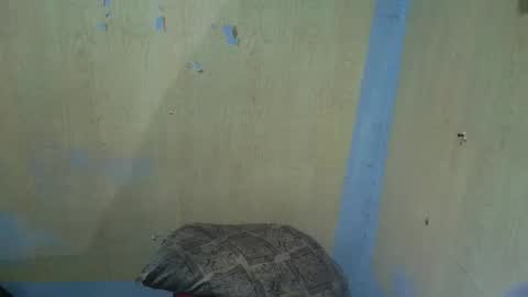 jillian_fuckdoll online show from 22, 12, 2025