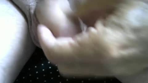 Snapshot of jimismiles chatting on 7, 10, 2025 jimismiles online show from 7, 10, 2025