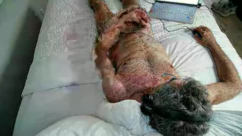 Snapshot of jimjimjim2633 chatting on 2, 4, 2026 jimjimjim2633 online show from 2, 4, 2026