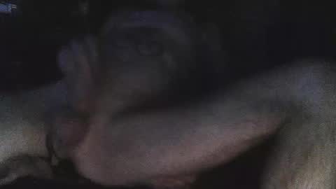 Snapshot of jjohnathan529 chatting on 24, 2, 2025 jjohnathan529 online show from 24, 2, 2025