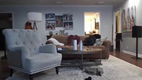 jkelly92081bean online show from 21, 11, 2025