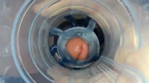 Snapshot of jkrubs665 chatting on 22, 12, 2025 J online show from 22, 12, 2025