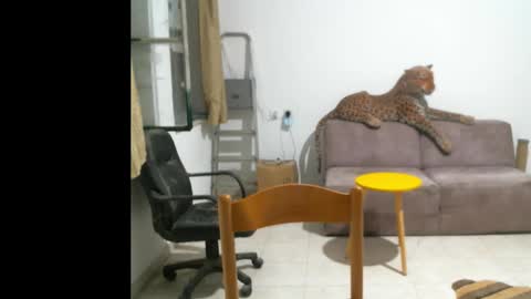 jlmbud online show from 11, 10, 2025