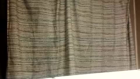 Snapshot of jmartel92 chatting on 5, 11, 2025 jmartel92 online show from 5, 11, 2025