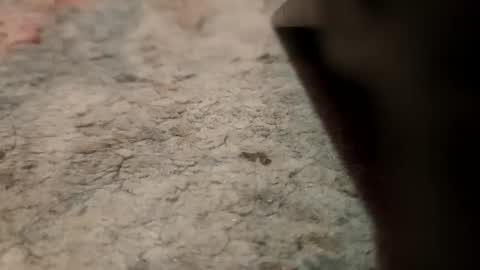 Snapshot of joemancini643 chatting on 21, 9, 2025 joemancini643 online show from 21, 9, 2025