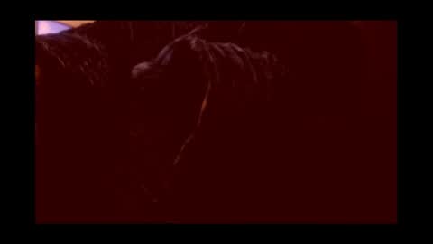 Snapshot of joeygumbo chatting on 3, 1, 2025 Joeygumbo online show from 3, 1, 2025