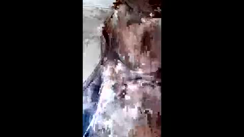 Snapshot of johan3084 chatting on 9, 4, 2026 johan3084 online show from 9, 4, 2026