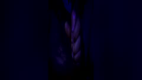 Snapshot of johnbruce23 chatting on 25, 6, 2026 johnbruce23 online show from 25, 6, 2026