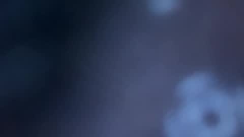 JOHN online show from 14, 11, 2025