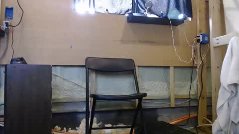 Snapshot of johnplayer23 chatting on 27, 12, 2024 johnplayer23 online show from 27, 12, 2024