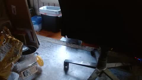 Snapshot of joncpics chatting on 6, 11, 2025 joncpics online show from 6, 11, 2025