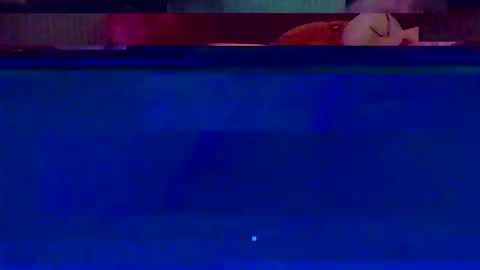 Snapshot of jooshi1981 chatting on 12, 2, 2026 jooshi1981 online show from 12, 2, 2026