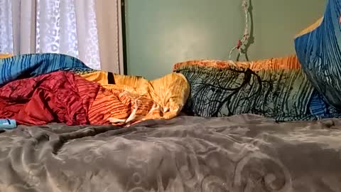 jorjina_x_mckie online show from 9, 1, 2025