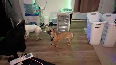 Snapshot of josefturner1 chatting on 17, 4, 2026 Josef online show from 17, 4, 2026