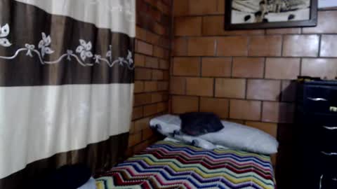 Snapshot of joseph_fit chatting on 22, 10, 2025 joseph online show from 22, 10, 2025