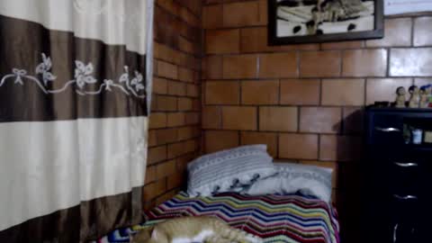 Snapshot of joseph_fit chatting on 10, 11, 2025 joseph online show from 10, 11, 2025