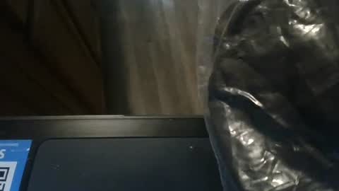 Snapshot of josephung1 chatting on 8, 1, 2025 sissy josphine online show from 8, 1, 2025