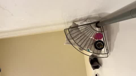 Snapshot of josephung1 chatting on 15, 2, 2025 sissy josphine online show from 15, 2, 2025