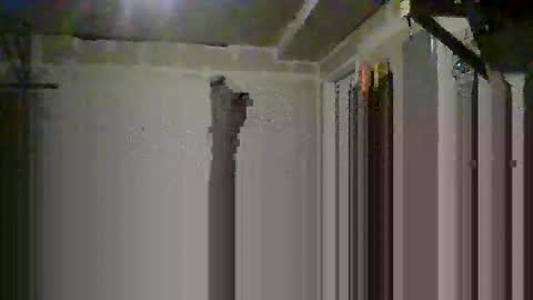 Snapshot of josephung1 chatting on 14, 10, 2025 sissy josphine online show from 14, 10, 2025