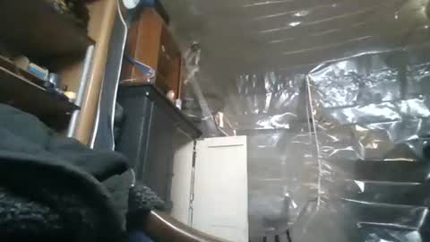 Snapshot of josephung1 chatting on 28, 11, 2025 sissy josphine online show from 28, 11, 2025