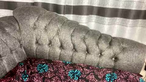 Butterflyass online show from 4, 3, 2026