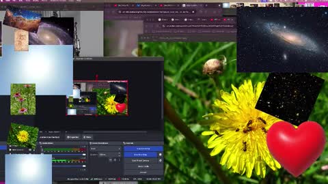 Snapshot of jpsunflower chatting on 13, 10, 2025 JP Sunflower Angel Love online show from 13, 10, 2025