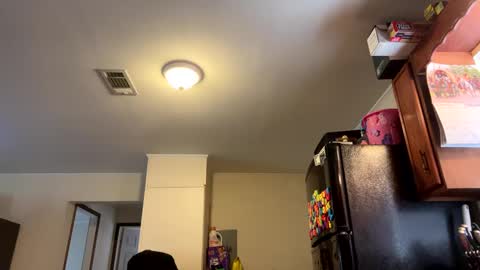 Assholelover online show from 27, 2, 2025