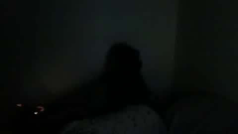 jram18 online show from 20, 2, 2026