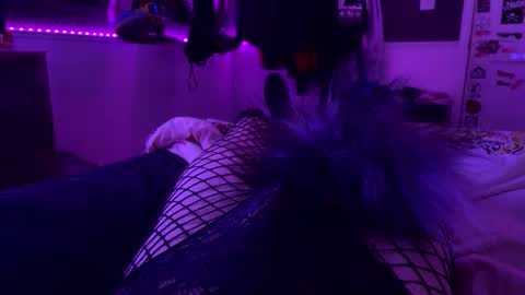 Snapshot of jrod11229 chatting on 24, 10, 2025 jrod11229 online show from 24, 10, 2025
