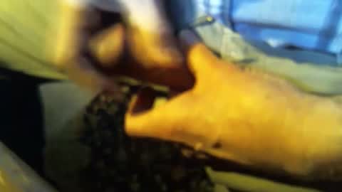 Snapshot of jt335577 chatting on 27, 1, 2025 jt335577 online show from 27, 1, 2025