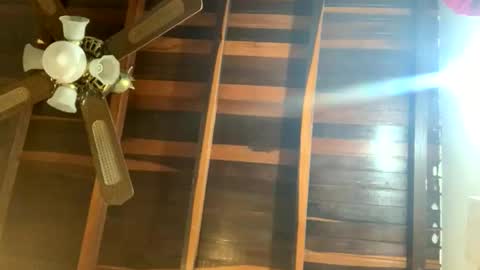 Snapshot of juan_bunny chatting on 3, 6, 2026 lJuanl online show from 3, 6, 2026